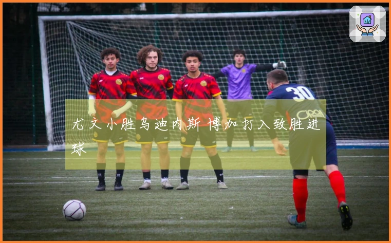 尤文小胜乌迪内斯 博加打入致胜进球